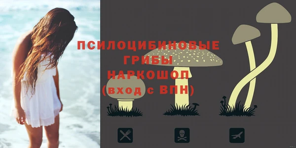 прущая мука Магас