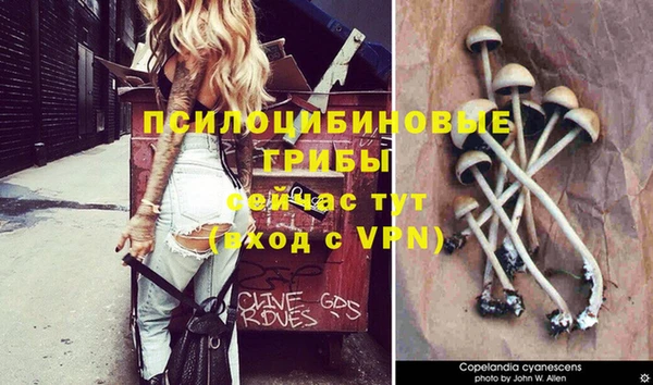 прущая мука Магас
